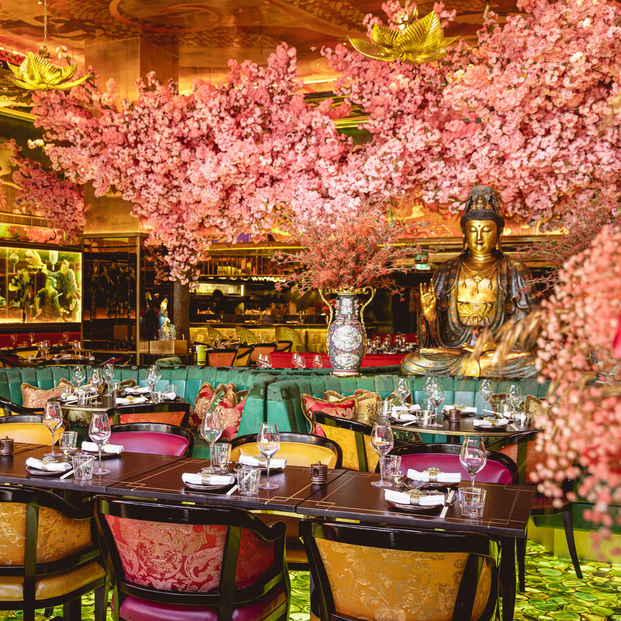 The Ivy Asia
